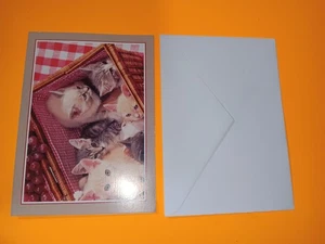 Kittens in Basket Greeting Card Blank Inside With Envelope Cute Cat Note Set - Picture 1 of 3
