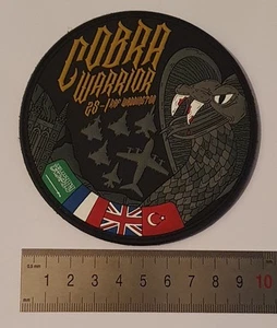 Raro ® Royal Airforce RAF Cobra Warrior 2025 TYPHOON PVC parche en vlkro - Imagen 1 de 1