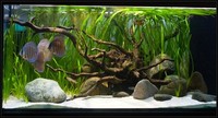 30 KG NATURAL SILICA SAND NATURAL WHITE FISH TANK FOR ALL TYPES OF AQUARIUMS
