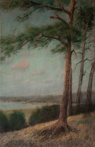 Windflüchter Küstenlandschaft Landschaft unsigniert Pastell Zeichnung 20 Jh - Picture 1 of 2