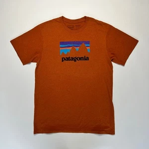 Patagonia Responsibili Brown T-Shirt L Shirt braun Outdoor - Imagen 1 de 5