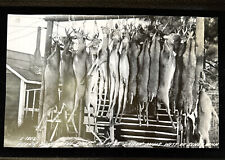 Vintage Deer Hunting Photograph from Seney, Michigan
