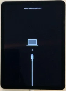 FULL POWER USED GSM UNLOCKED APPLE iPad AIR 4TH GEN 10.9" 256GB A2324 FOR REPAIR - Afbeelding 1 van 4