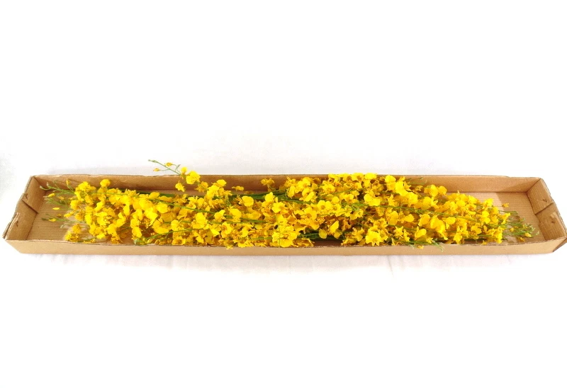 künstliche Seidenblumen Orchideen gelb / braun 4 Zweige 100 Cm Dekoration Top