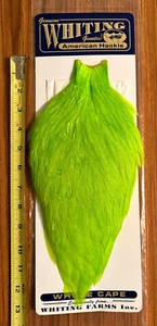 Whiting American Rooster Cape, White dyed Fl Green Chartreuse, Fly Tying - Picture 1 of 2