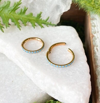 Anillo de segmento con bisagras de titanio exterior turquesa aro de tabique hélice joyería Daith 1 pieza Foto 1 de 4