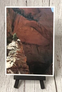 Double Arch Alcove, Kolob Canyons, Zion National Park - Utah Postcard - Picture 1 of 3