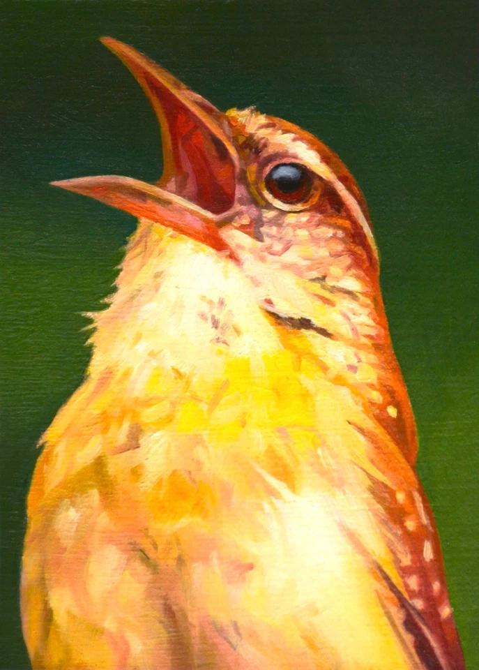 “Chirping Wren” Original Bird ACEO, Oil Painting Art, century_wild - Image 1 of 1