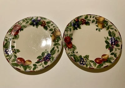 2 platos de cena Sakura Sonoma Excell de 10 7/8 pulgadas en buen estado leer y ver fotos Foto 1 de 4