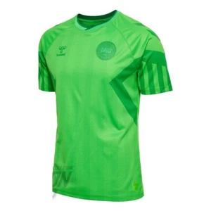 Denmark National Football Team Goalkeeper Jersey 2022, BNWT, Hummel - Bild 1 von 1