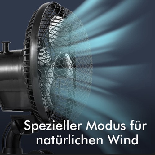 Bild 1 von 12