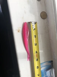 ZIPPER 4" PINK ICE alias BUBBLEGUM MINNOW ZOOM FLUKE Style JERK BAIT SOFT PLASTIC - Bild 1 von 3