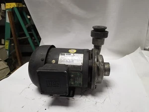 AMT 1625-310 Stainless Steel Water Pump with 1-1/2 hp WEG 3ph Motor - Picture 1 of 12