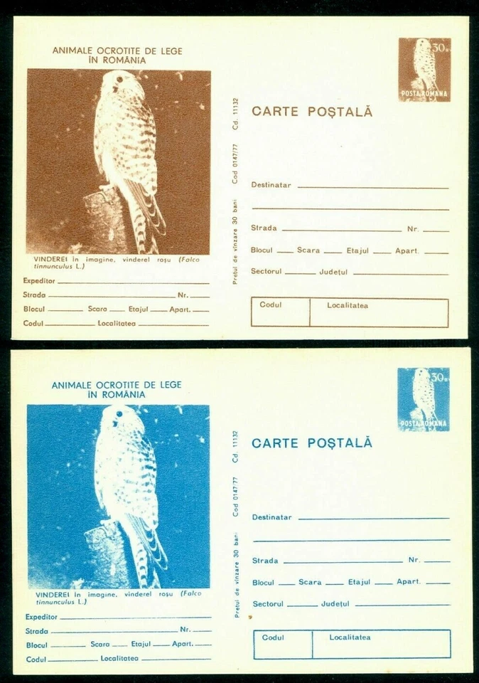 1977 Common kestrel,Falco tinnunculus,Bird,Protect European Nature,Romania,card - Image 1 of 1
