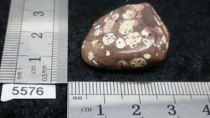 JASPE LEOPARD pierre roulee TOP mineraux lithotherapie reiki collection jasper - Picture 1 of 2