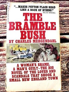 The Bramble Bush By Charles Mergendahl Vintage 1965 Bantam Paperback Unabridged - Picture 1 of 11