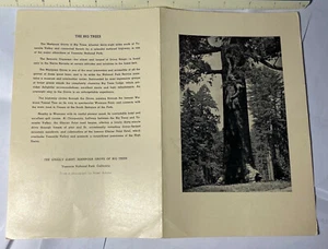 YOSEMITE AHWAHNEE MENU May19 47 5.5x8-.5" Ansel Adams The Grizzly Giant Mariposa - Picture 1 of 2