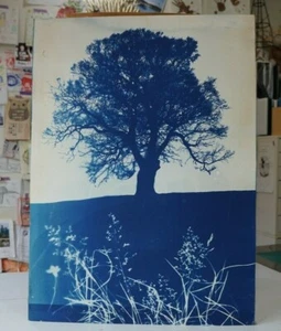 Cyanotype Great Oak with Grasses Artwork - Zoe Burt - Picture 1 of 3