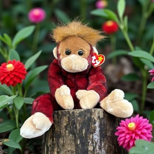 Peluche Ty Beanie Buddy Monkey Schweetheart 1999 rosso tinto a punta medio con etichette - Foto 1 di 9