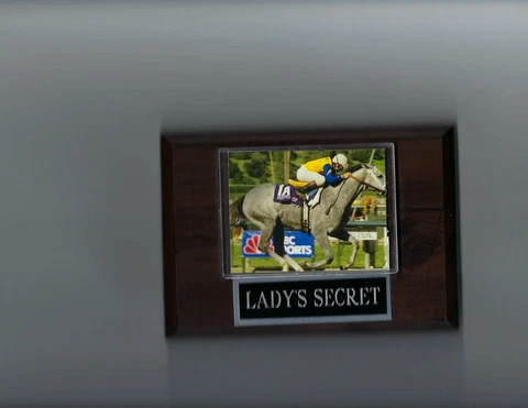 LADY'S SECRET PLAQUE HORSE RACING TURF Cover