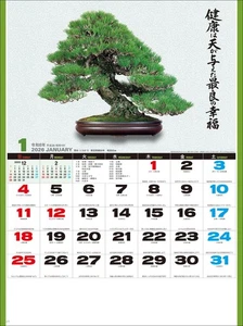 Wandkalender Januar 2026 SG278 Naturliebe (Bonsai) 2026 - Bild 1 von 3