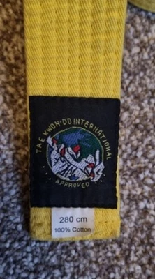 TAGB Tae Kwon-do yellow  belt 280cm Clean Bright - Image 1 of 3