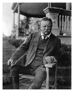 PRESIDENT THEODORE ROOSEVELT PORTRAIT 8X10 PHOTOGRAPH - Picture 1 of 4