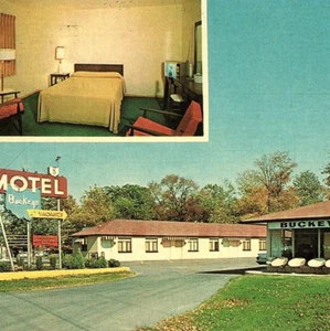 c.1960 Buckeye Motel Columbus OH US 62 Multiview Postcard Interior TV ON - Imagen 1 de 3