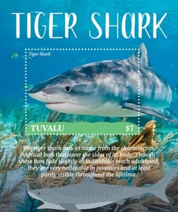 Tuvalu 2021 - Fish, Marine Life Tiger Shark - Souvenir Stamp Sheet - MNH - Picture 1 of 1
