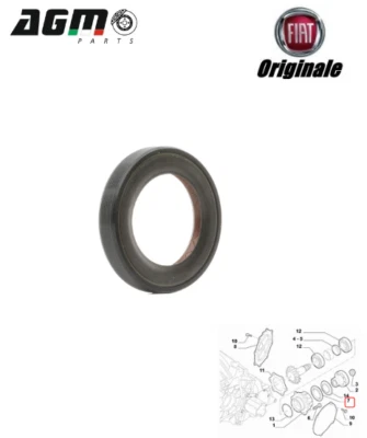 GUARNIZIONE TENUTA PARAOLIO DIFFERENZIALE ORIGINALE FIAT PANDA 312 71772836 - Immagine 1 di 4