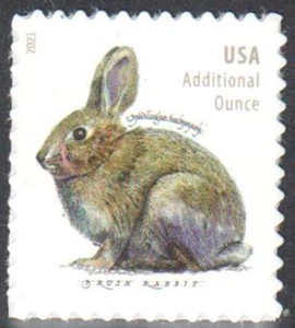 SC#5544 - 2021 20c Brush Rabbit Additional Ounce MNH - Picture 1 of 1