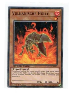 Funda volcánica - SGX1-DEH07 - Common - Imagen 1 de 1