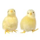 Scene Model Lifelike Bird Easter Plush Chick Kids Toy Simulation Furry Chicken