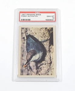 1957 Oak Manufacturing Premiere Birds Pigmy Nuthatch PSA 10 - Bild 1 von 2