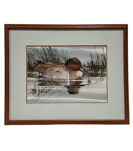 Joe Garcia Original Green-Winged Teal Duck Watercolor Painting - Picture 1 of 13