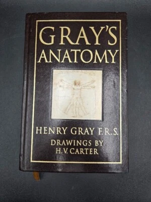 Grays Anatomy Henry Gray F.R.S. 1995 15th Edition Hardcover Barnes Noble - Image 1 of 4