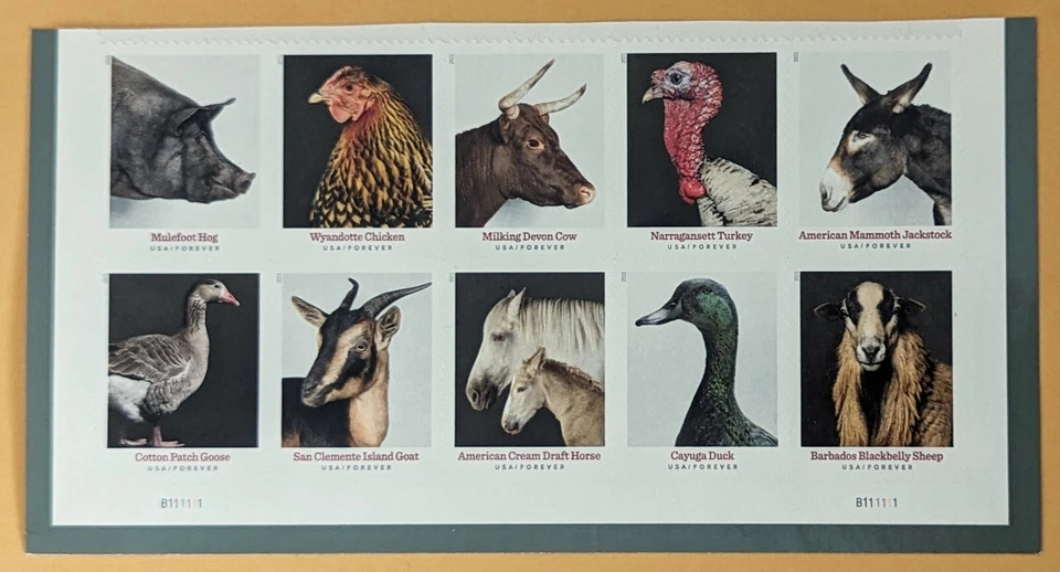 U.S.A. Heritage Breeds. Plate Strip of 10v, Forever stamps 2021 - Image 1 of 1