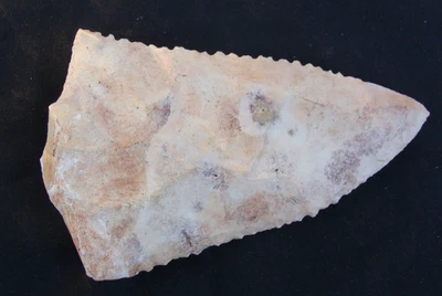 美丽的 SERRATED SNAP BASE 深南乔治亚州佛罗里达箭头 ~124 ~ — 第 1/3 张图片