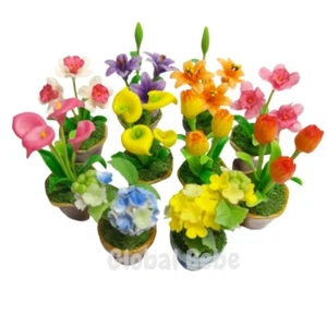 10 Miniature Color Flower in Pot Tulip Dollhouse Collection Decor Gift 2025 - Picture 1 of 12