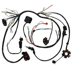 ARNÉS DE CABLE ELÉCTRICO LARGO GY6 150CC 6 BOBINAS GOKART ATV SCOOTER QUAD DUNE BUGGY - Imagen 1 de 7