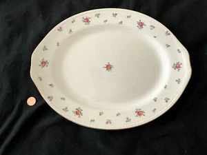 Homer Laughlin Cáscara de Huevo Georgiano RAMBLER ROSA American Vogue 13,5" PLATO DE SERVIR - Imagen 1 de 5