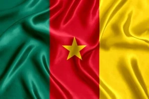 NEW - Cameroon Flag 5' x 3' (91 x 151 cm) World Cup Qatar 2022 - Picture 1 of 2