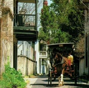 Aviles Street Horse and Carriage St. Augustine Florida Vintage Postcard - Picture 1 of 4