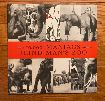 Пластинка долгоиграющая 10 000 Maniacs - Blind Man's Zoo Elektra 60815-1 1989 Natalie Merchant очень хорошее состояние+ - Изображение 1 из 4