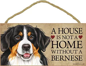 Berner Sennenhund Haus Ist Nicht A Home Zeichen + Bonus Untersetzer - Bild 1 von 2