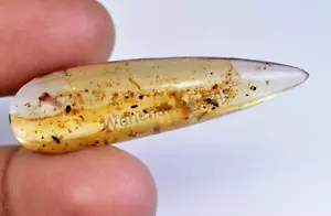 15,05 ct 100 % natürlicher gelber Bernstein Insekteneinschluss zertifiziert loser Edelstein - Bild 1 von 6