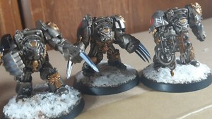 Pro painted space wolves ウォーハンマー 40k minnade-ganbaro.jp