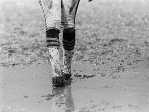Green Bay Packers VS Chicago Bears Aug 4 1973 Midwest Shrine