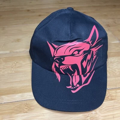 Gorra NWA TNA Impact Wrestling American Wolves Davey Richards Eddie Edwards en muy buena condición Foto 1 de 4