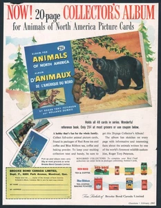 1961 Canadian Brooke Bond Red Rose Tea print ad Black Bear picture cards - Picture 1 of 1
